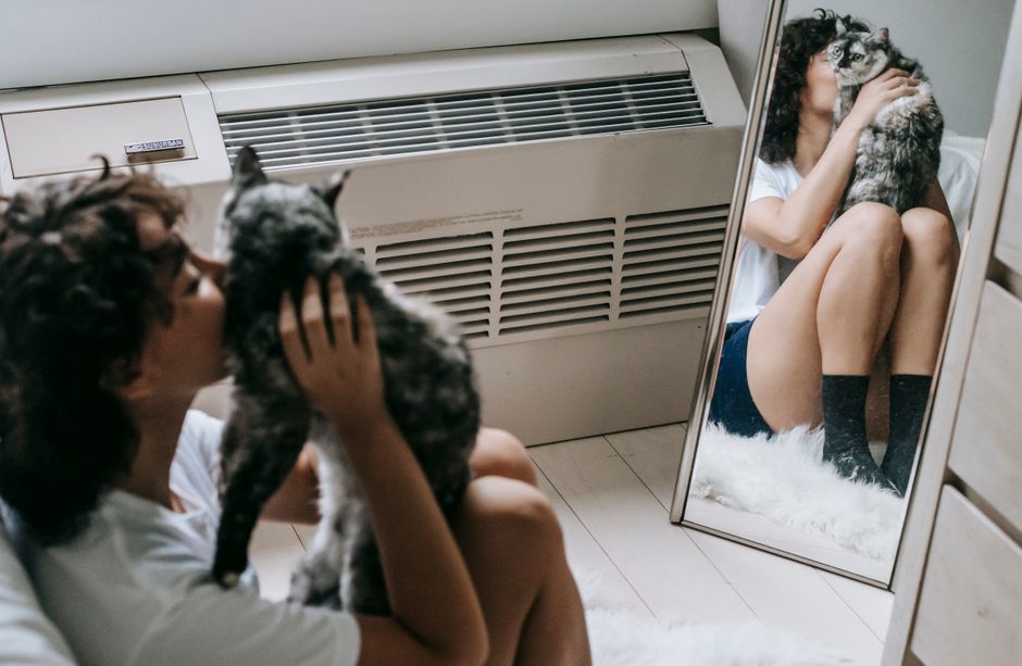 Breathing Easy in 2026: The Ultimate Smart Home Air Purifier Review