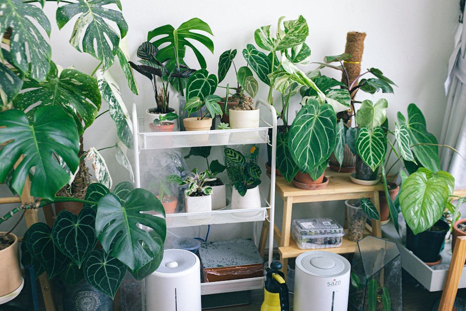 The Ultimate Air Purifier Guide for 2026: Breathe Cleaner, Live Smarter
