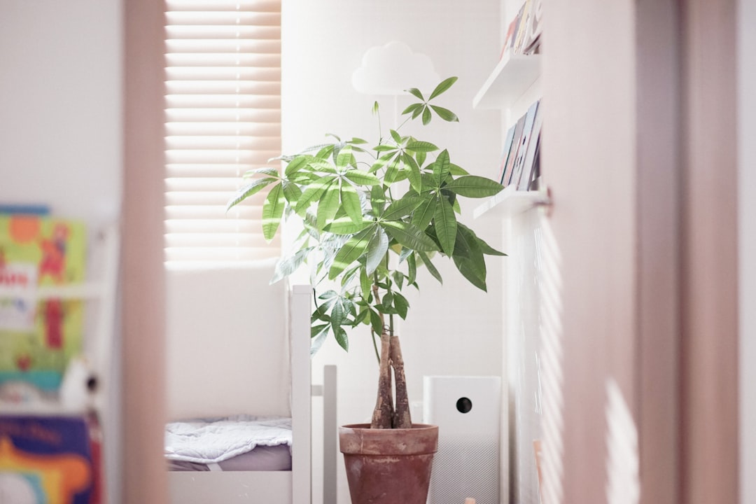 The Ultimate Air Purifier Guide for 2026: Breathe Clean, Live Smart