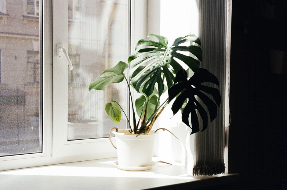 Breathe Easy: The Ultimate 2026 Air Purifier Review for a Healthier Smart Home