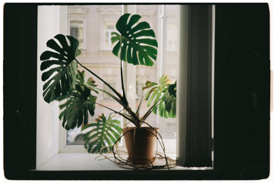 Clearing the Air: The Ultimate 2026 Guide to Smart Air Purifiers for Your Home