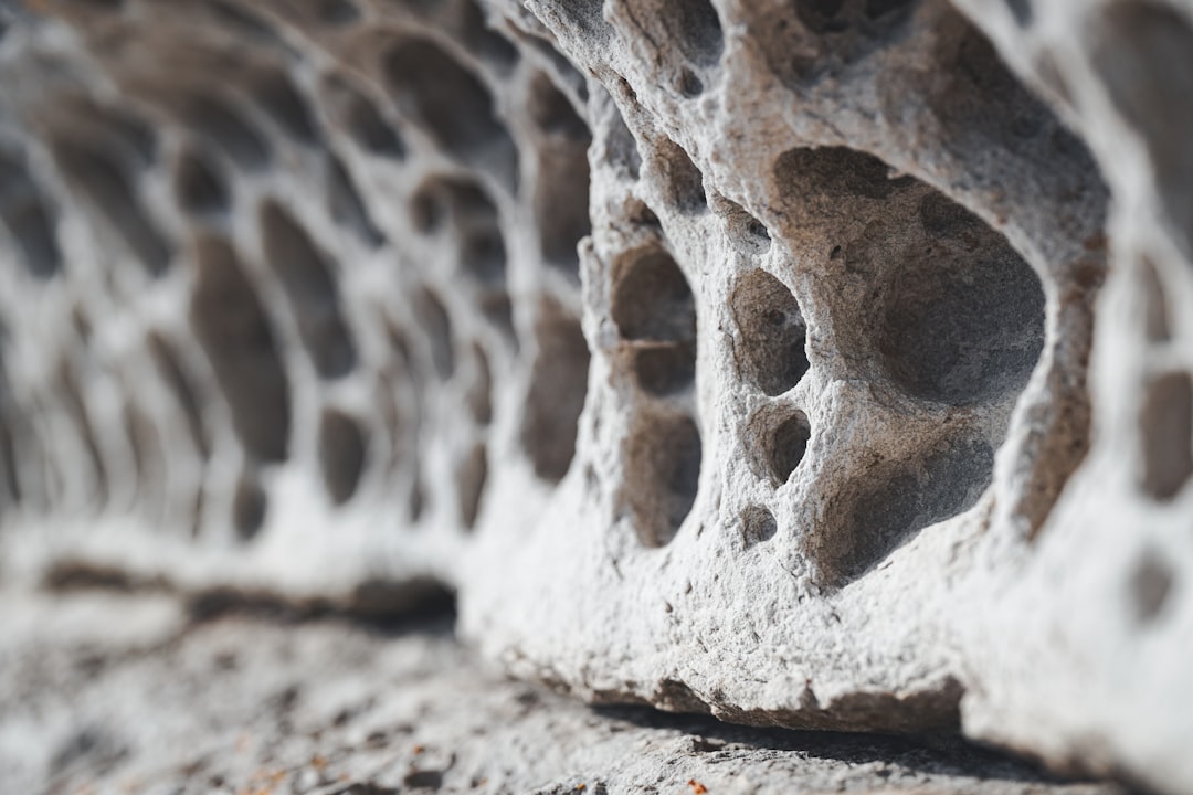 From Blueprint to Built: How AI-Driven Design Software is Revolutionizing Eco-Friendly Construction