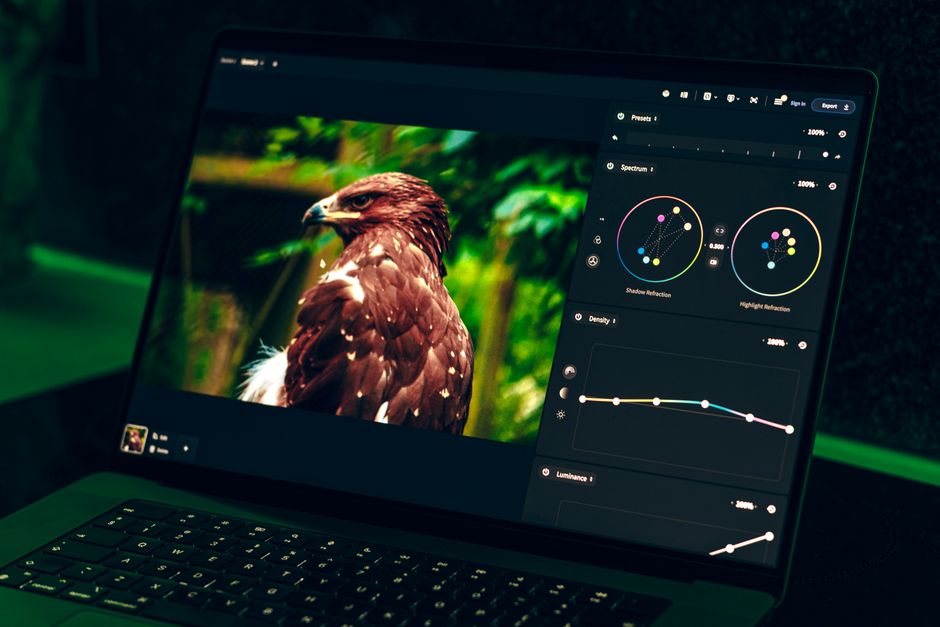 The 2026 Vector Graphics Renaissance: Why SVG-Native Editors Are Redefining Digital Design