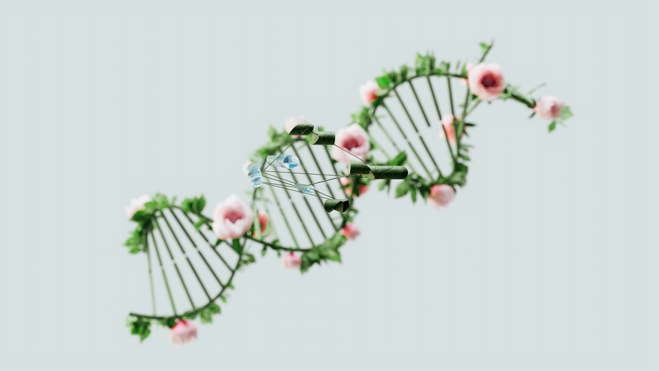 The Rise of Integrated Web Platforms in Bioinformatics: How ITHindex Is Reshaping Cancer Research Tooling