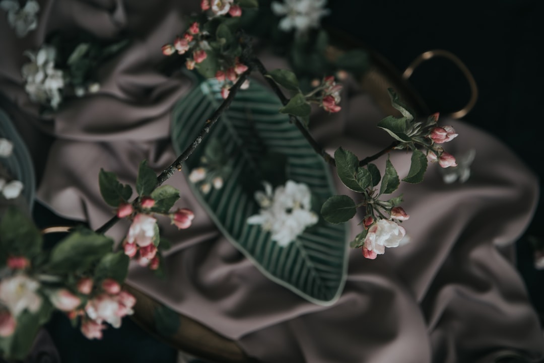 The 2026 Fragrance Edit: Your Ultimate Guide to Finding, Wearing, and Loving Your Signature Scent