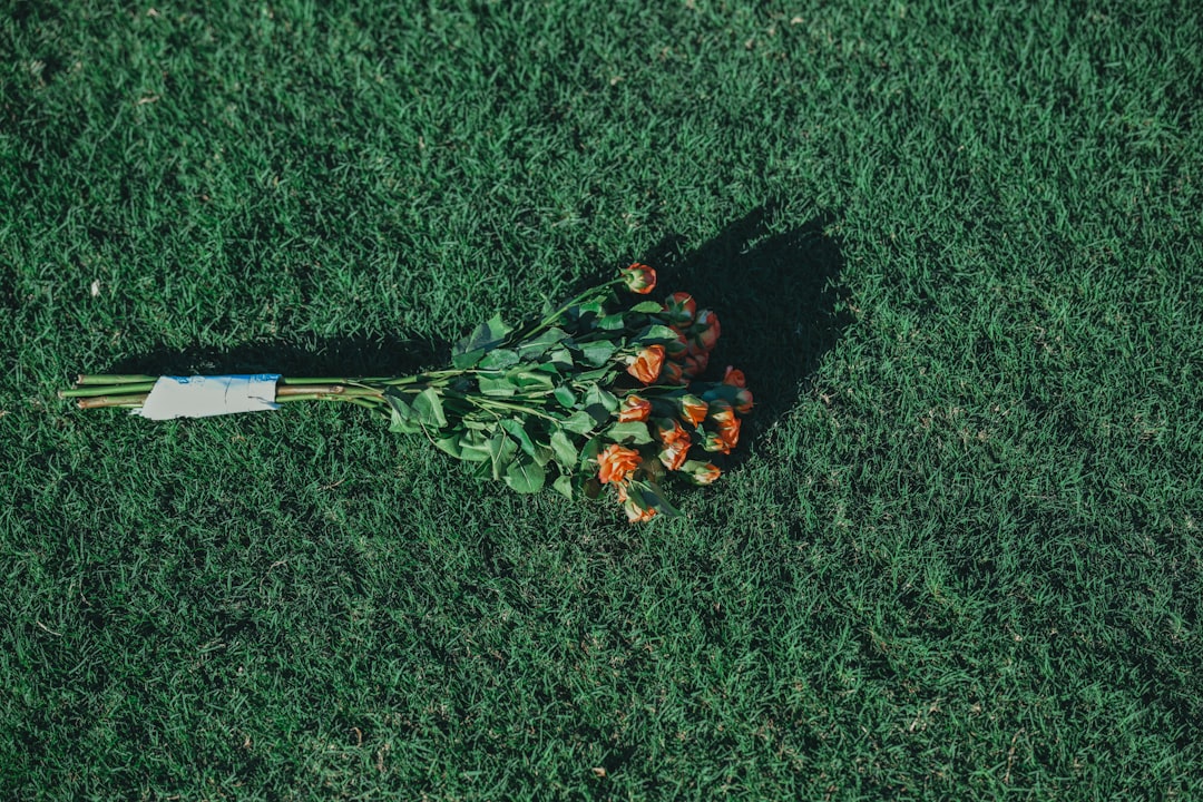 The Modern Florals: A 2026 Guide to Wearing Flower-Forward Fragrance
