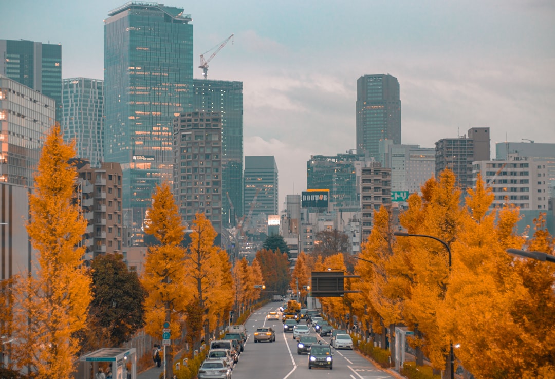 Scent of the City: How Urban Landscapes Are Shaping the Future of Perfume
