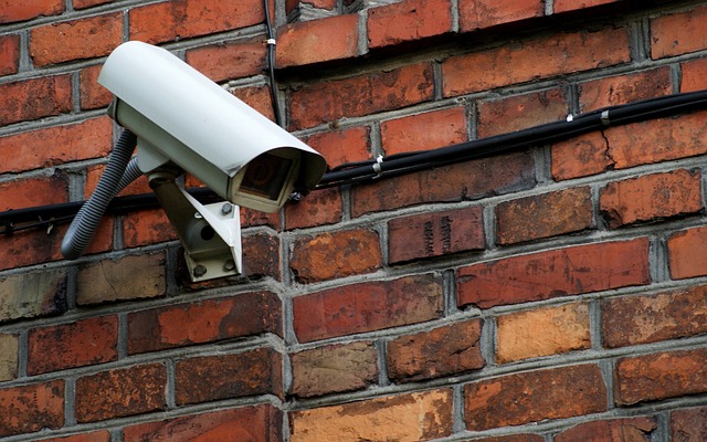 The Best Smart Security Cameras of 2026: Encryption, Privacy, and the Mythos Factor