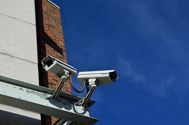 The Ultimate Guide to Smart Security Cameras: Top Picks for 2026