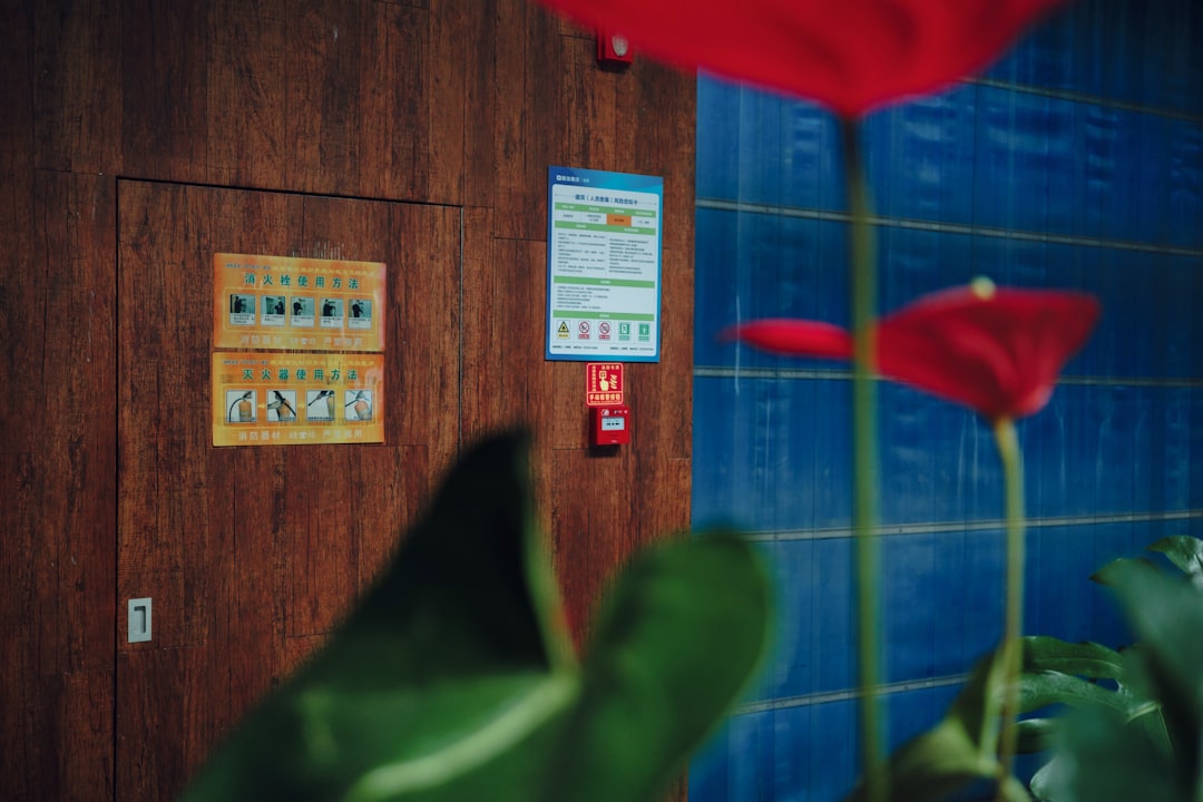 Home Security Systems in 2026: The Ultimate Guide to Protecting Your Home