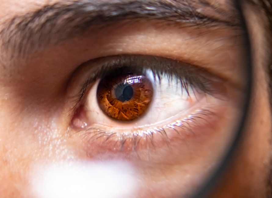 The Eyes Have It: Mastering 2026's Most Daring Eye Makeup Trends