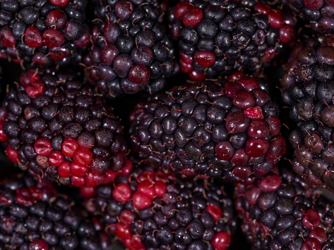 BlackBerry’s Cybersecurity Renaissance: Why This Legacy Player Is Now a Must-Watch for 2026