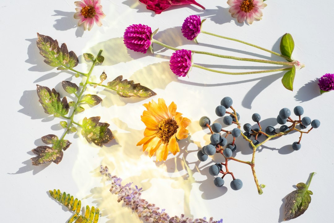 The Best Skincare Ingredients of 2026: Your Complete Guide to a Smarter Routine
