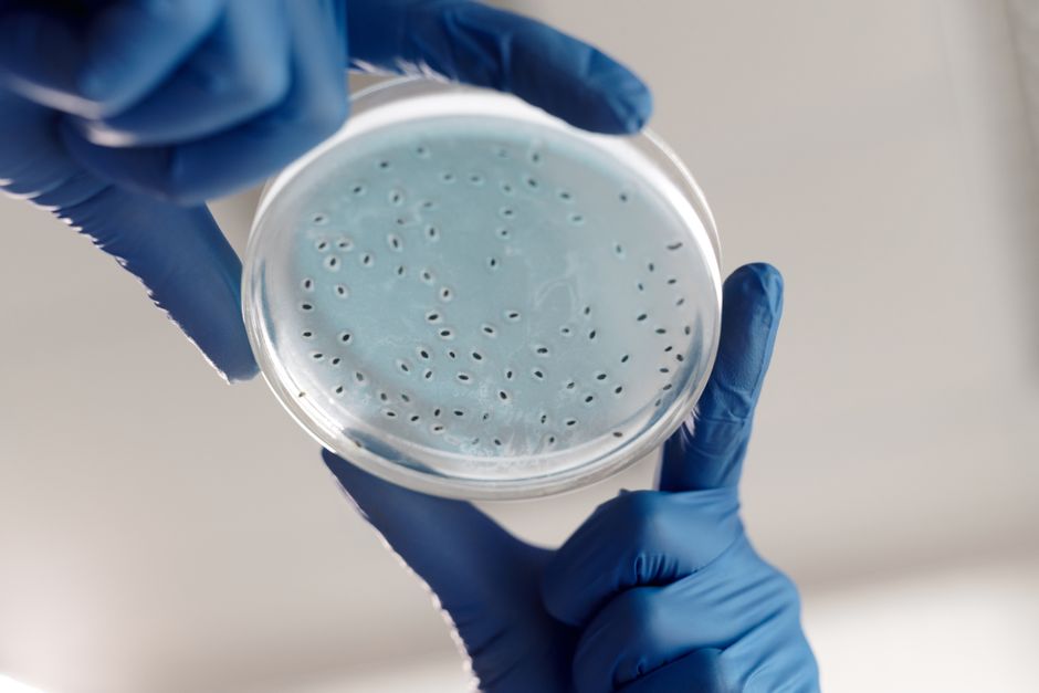 The PDRN Paradox: What Vegan DNA Skincare Really Means for Your Skin