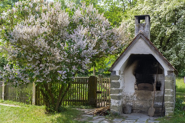 The Ultimate Guide to Smart Ovens in 2026: Revolutionizing Your Kitchen Experience