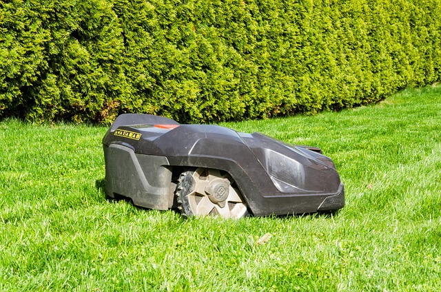 The Ultimate Guide to Robot Lawn Mowers: Top Picks for a Perfect Lawn in 2026