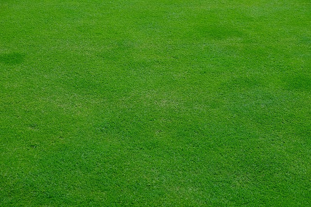 The Ultimate Guide to Automatic Lawn Mowers (2026): Ditch the Chores, Embrace the Future