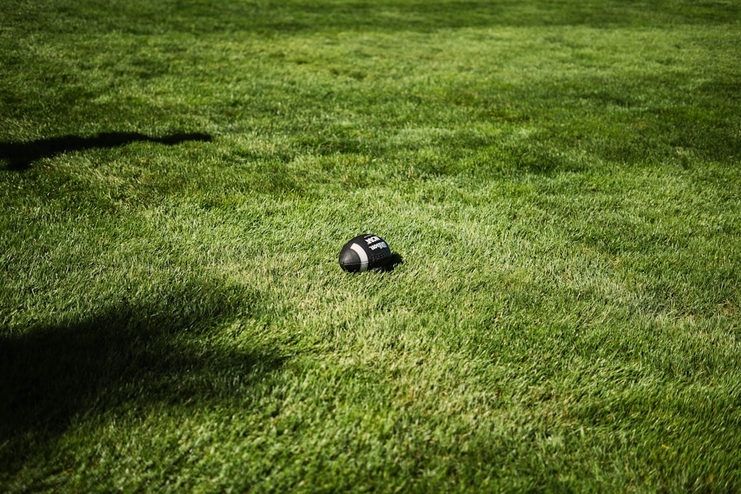 Smart Lawn Mowers: The Ultimate 2026 Guide to Hands-Free Lawn Care