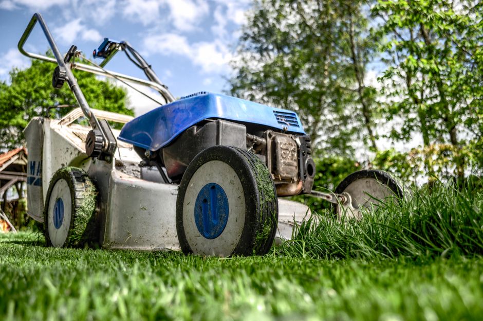 The Smart Lawn Mower Revolution: Navigating New Regulations and Choosing the Right Bot for Your Yard