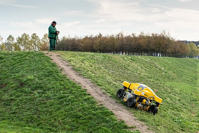 The Ultimate Guide to Robot Lawn Mowers: Top Picks for 2026