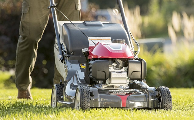 The Ultimate Guide to Automatic Lawn Mowers: Top Picks for 2026
