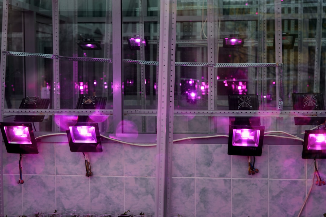 Illuminate Your Home: The Ultimate Guide to Intelligent Lighting Systems in 2026