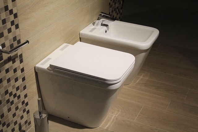 The Ultimate Guide to Smart Bidet Seats: 2026’s Best Bathroom Upgrades