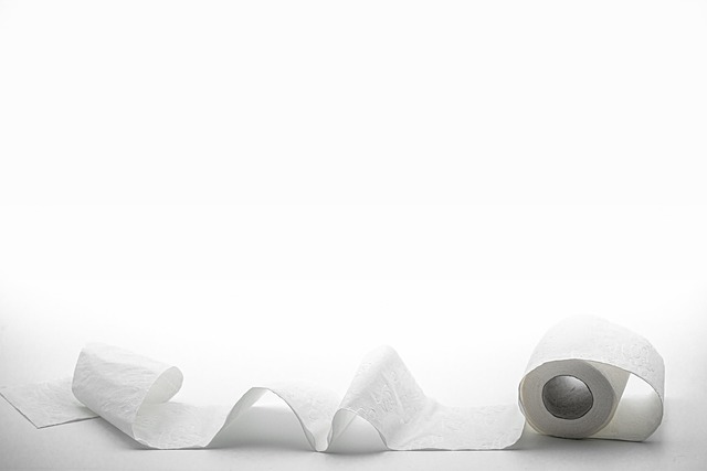 The Ultimate Smart Toilet Review: 2026’s Best Intelligent Thrones for Your Modern Bathroom