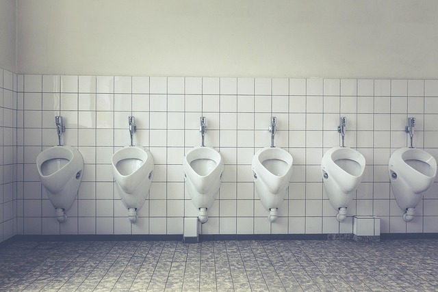 The Ultimate Smart Toilet Review: Upgrade Your Bathroom in 2026